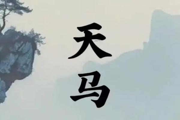 紫薇斗数天马位置不一样