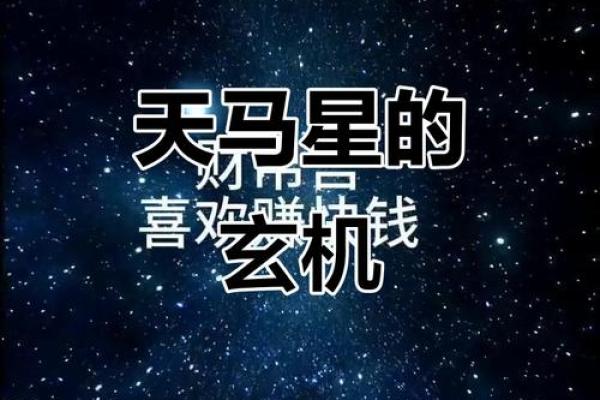 紫薇斗数天马位置不一样