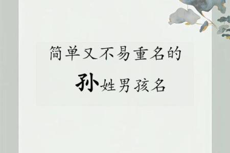 孙姓女孩名字大全-孙姓女孩起名字大全-孙姓名字大全姓名