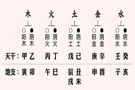 八字天干地支