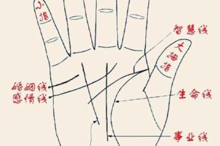 图解：手相手腕线算命