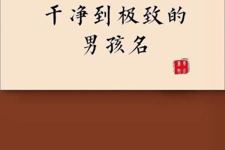 2019年3月28号未时出生的男孩如何起名姓名