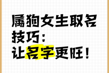 上午11点出生的属狗男孩怎么取名，用什么字好姓名