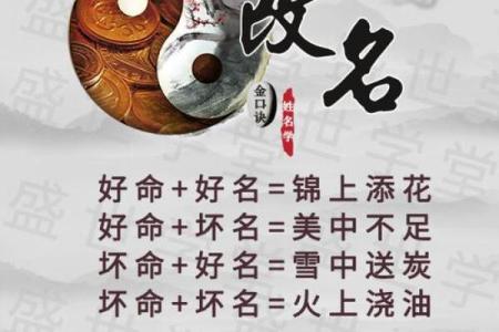 姓杨的名人-名人大全-姓名学-华易算命网姓名