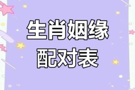 生肖配对姻缘男龙女马 十二生肖男龙女马相配吗？
