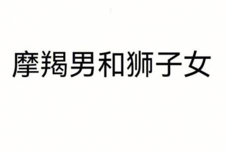 摩羯座应该配哪个星座的人