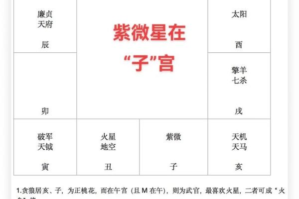 紫薇斗数特殊格局