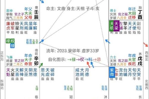 毛紫薇斗数