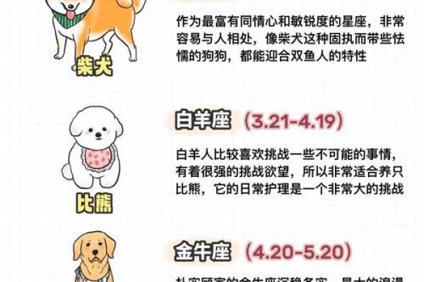 那些容易熬夜成瘾的星座