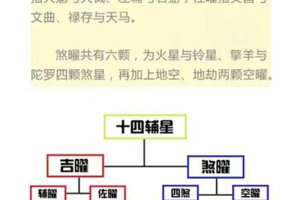 紫薇斗数宫职