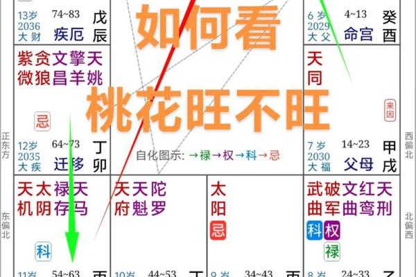 八字算命：魅力女人八字解析、桃花运、婚姻情缘！