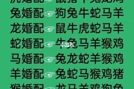 十二生肖的最佳婚姻配对
