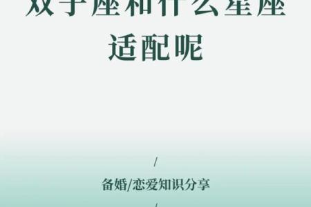 处女座与双子座明星配对有哪些