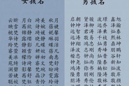 2019年3月19号申时出生的男孩起名时要注意什么姓名