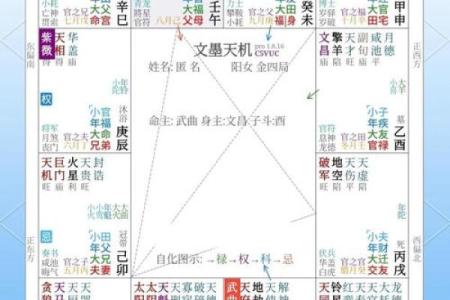 紫薇斗数测学业