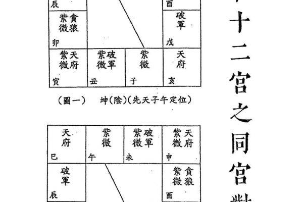 紫薇斗数自学看