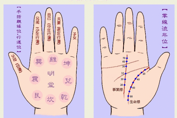 手指算命，手指长短判断一个人的个性