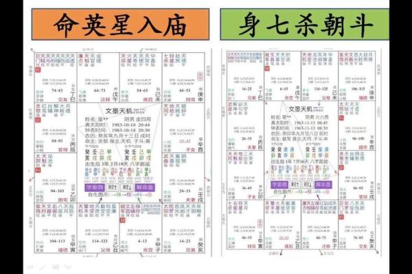 紫微斗数诸星落诸宫之：破军星父母宫详解