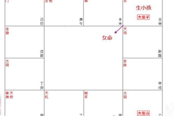 紫薇斗数太阳夫妻