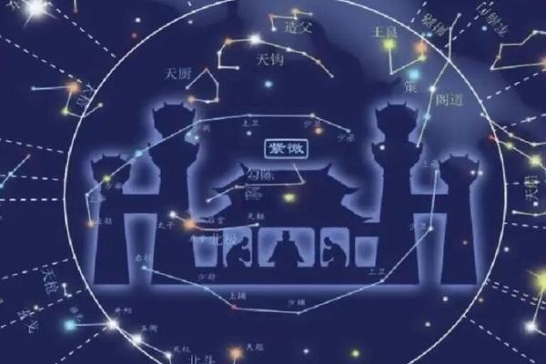 紫薇斗数财帛宫天月