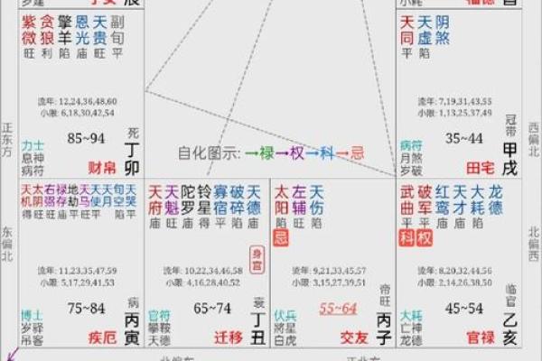 手机下载紫薇斗数