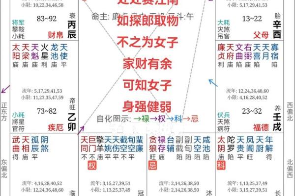 手机下载紫薇斗数