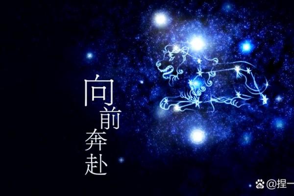 狮子座财运在哪个方位 什么时候好