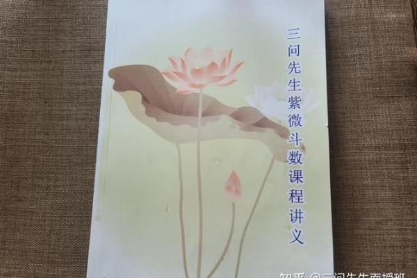 紫薇斗数看城府