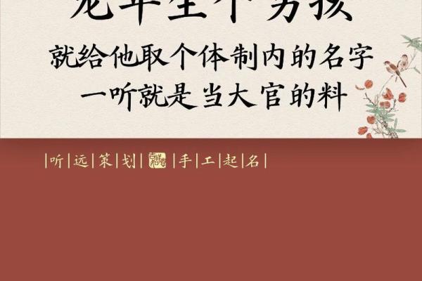 2月份出生的属龙男孩如何起名姓名