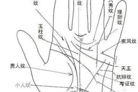 手相算命：健康