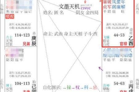 紫薇斗数科甲星