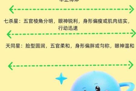 唐艺尹老师紫薇斗数算田宅宫：廉贞星坐守十二宫位置分析田产运