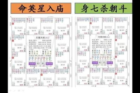 紫微斗数诸星落诸宫之：破军星父母宫详解