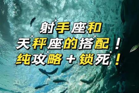 天秤男和什么星座最配 射手座男和什么星座最配