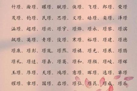 2019年6月3号子时出生的男孩应该起什么样的名字姓名