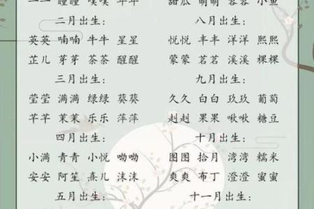 测宝宝名字生辰八字算命