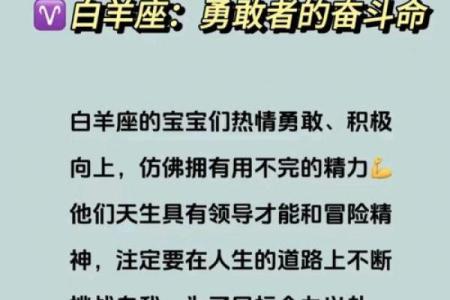 白羊座二区与白羊座二区的星座配对