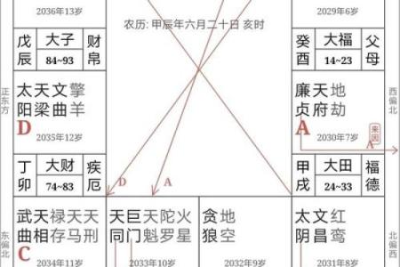 紫薇斗数财帛宫天月
