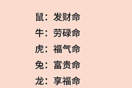 生辰八字生肖