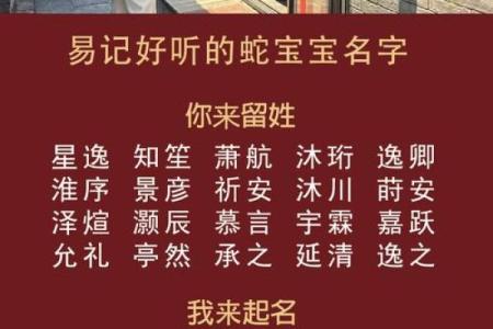 7月份出生的属蛇男孩如何起名姓名