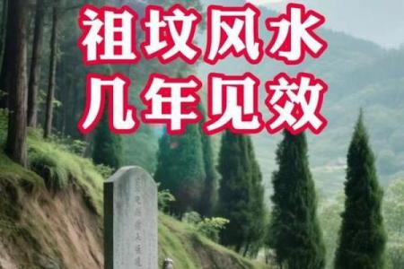 城市风水_别人的祖坟要葬在我家地里