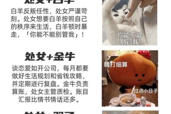 亲爱的别哭，十二星座安慰你