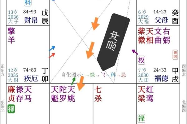 紫微斗数之事业宫与诸星，紫微星在事业宫是什么意思？