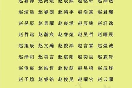 赵字姓名图像配对大全男 赵字好名字？