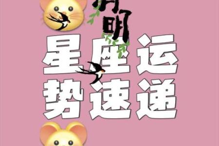 治愈系星座运势图片