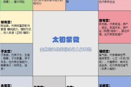 紫薇斗数入门