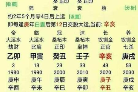 在线八字排盘 我命如何