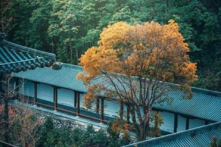 选楼风水遵循自然秩序为家庭创造福气