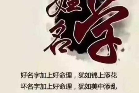 姓龙的名人-姓名学-华易算命网姓名