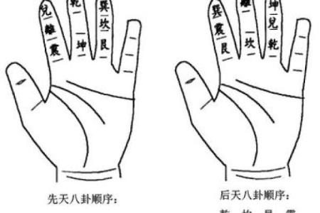 最后一个风水师 丸子